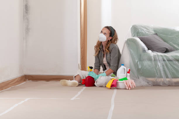 Reliable Mold Remediation contractor in Allendale, NJ by Cheap Mold Removal